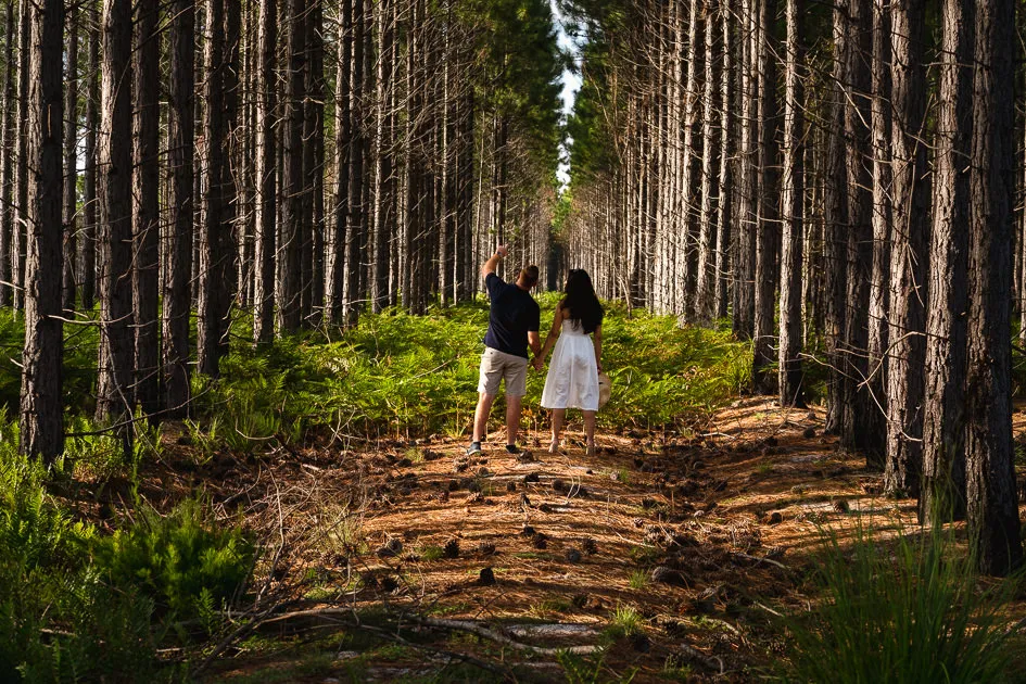 Romarie and Jake small at the end of a long avenue of pine trees
